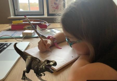 Year 2 Research Dinosaurs
