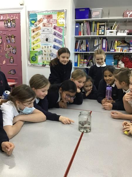 Year 4 learns what drink is the fizziest